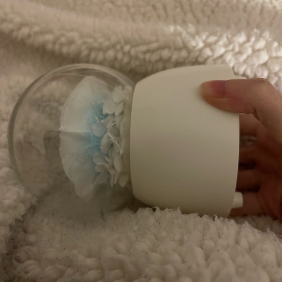 Flower music globe - Picture 5 of 7